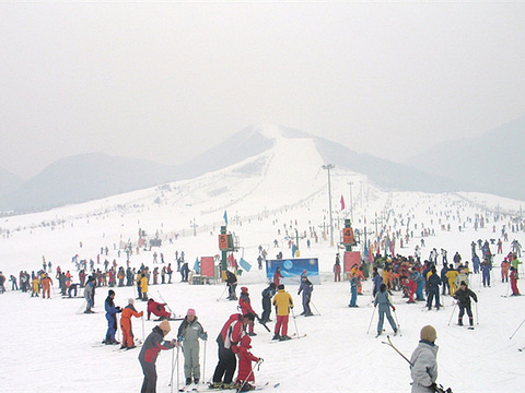 贾汪大景山滑雪场展示图片5