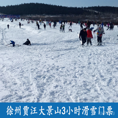 贾汪大景山滑雪场展示图片6