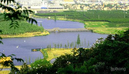 镜湖国家城市湿地公园展示图片3