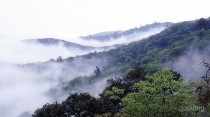 菌子山展示图片7