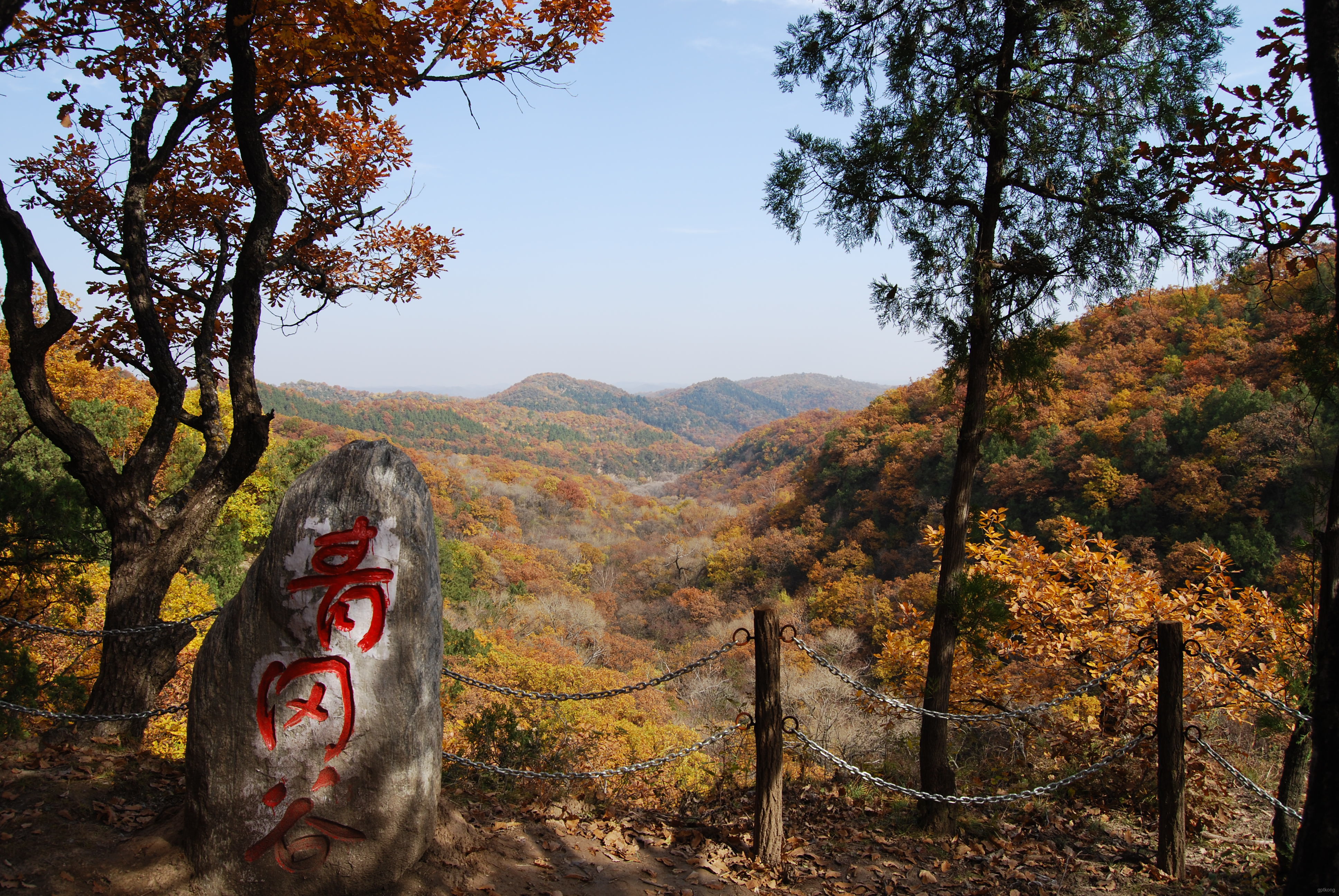 劳山森林公园展示图片0