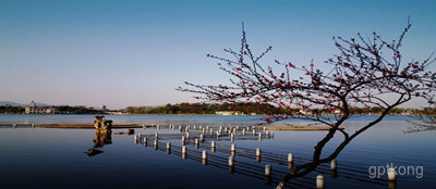 莲湖公园展示图片1