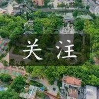 流沙人民公园展示图片3