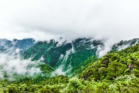 龙泉白云瀑风景区展示图片6