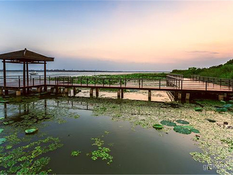 莲花岛风车阵公园展示图片0