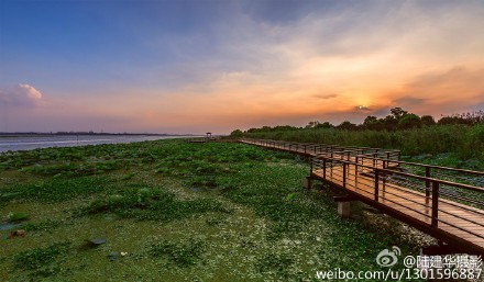 莲花岛风车阵公园展示图片3