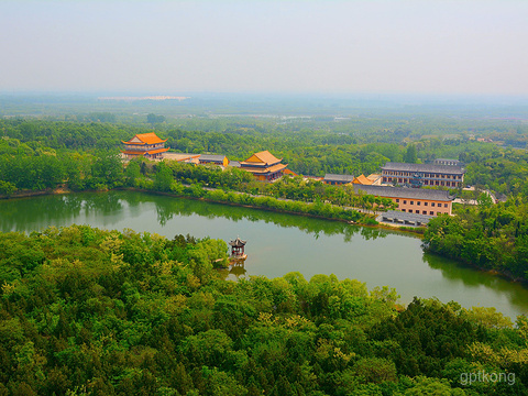 骆马湖湿地展示图片0