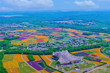 骆马湖湿地展示图片2