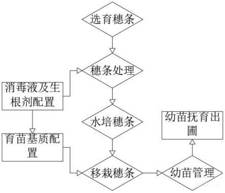 麻黄峪展示图片3