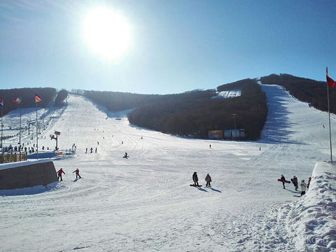 帽儿山滑雪场展示图片1