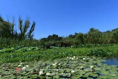 南沙湖风景区展示图片1