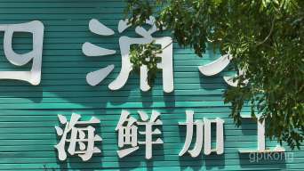 南沙十四涌展示图片4