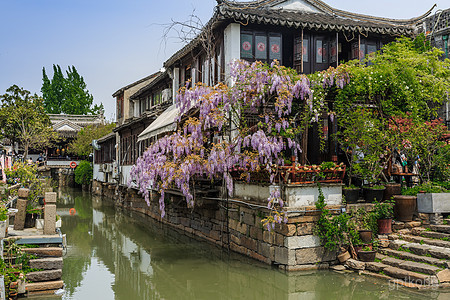 平江路历史街区展示图片6