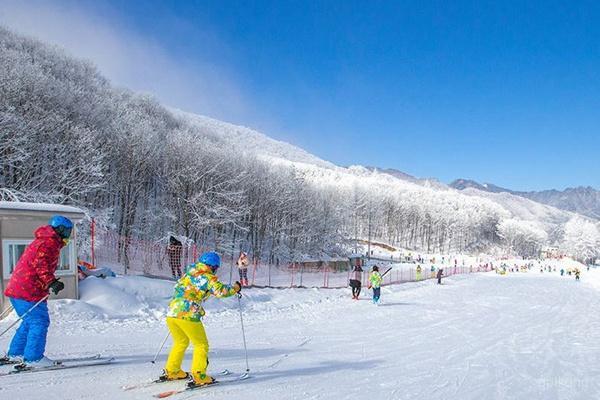 齐陵蓝溪国际滑雪场展示图片4