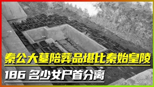 秦公一号大墓展示图片2