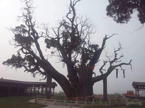 秦柏旅游生态园区展示图片1