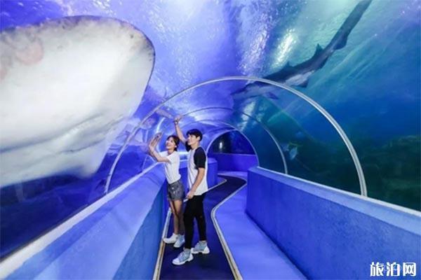 青岛水族馆展示图片4