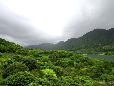 清溪山水天地森林公园展示图片0