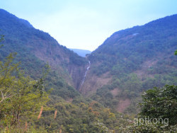 清溪山水天地森林公园展示图片3