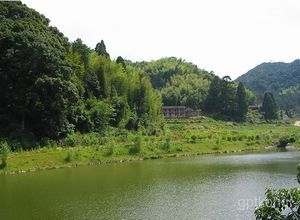 旗山森林温泉度假村展示图片3