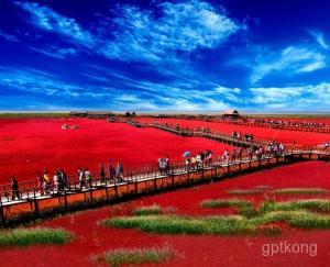 红海滩国家风景廊道展示图片1