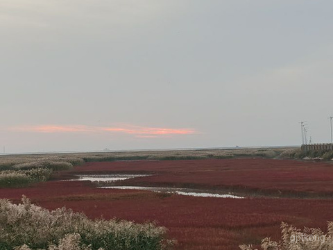 红海滩国家风景廊道展示图片3