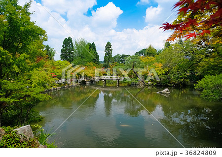 放生池展示图片0