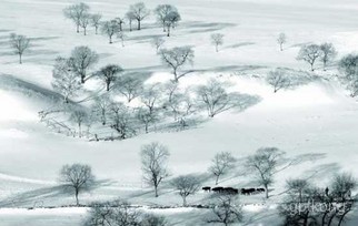 塞罕坝滑雪场展示图片3