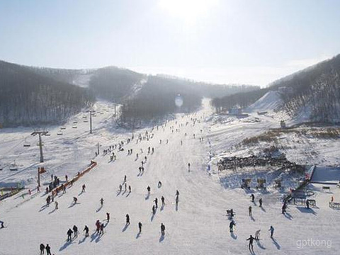 塞罕坝滑雪场展示图片0