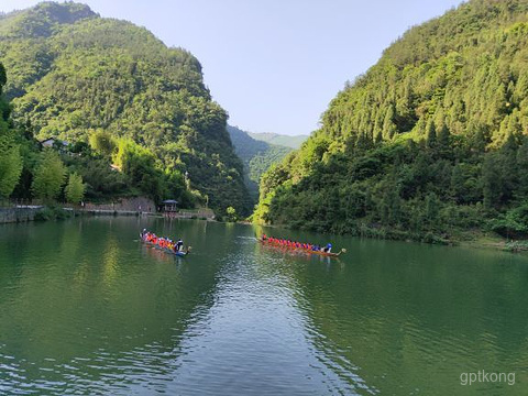 三峡竹海展示图片4