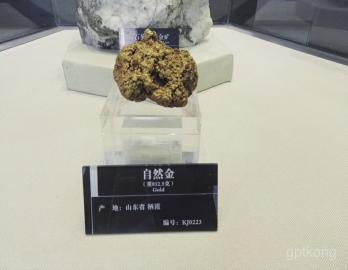 山东省地质博物馆展示图片1