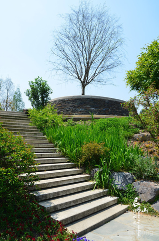 上海辰山植物园展示图片7