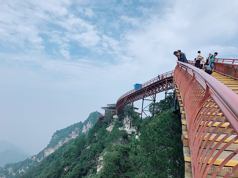 少华山森林公园索道展示图片5