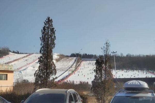 沈阳怪坡滑雪场展示图片2