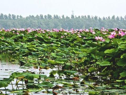 沈阳仙子湖展示图片2