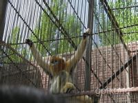 神州荒漠野生动物园展示图片4