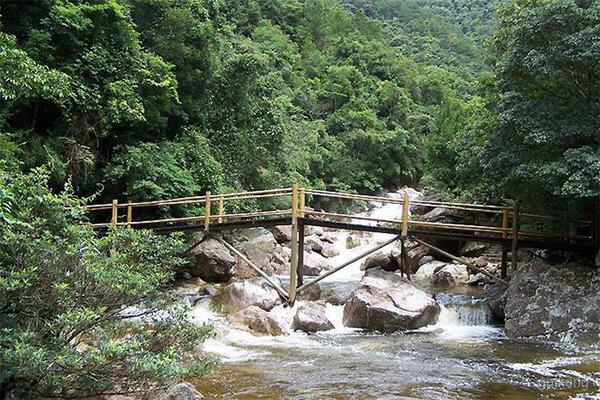 十万大山国家森林公园展示图片2