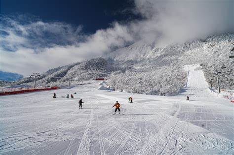 水西沟滑雪场展示图片2