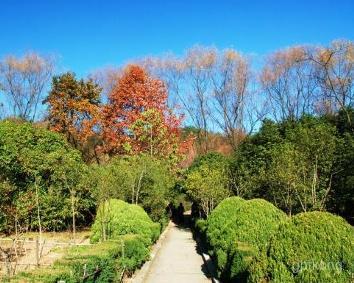 四方山植物园展示图片0