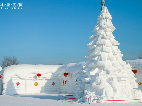 太阳岛雪博会展示图片0