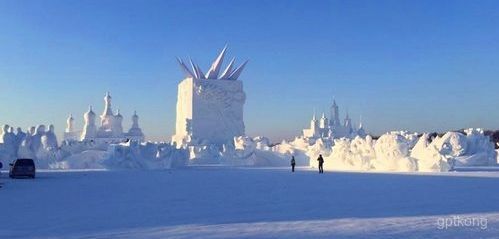 太阳岛雪博会展示图片6