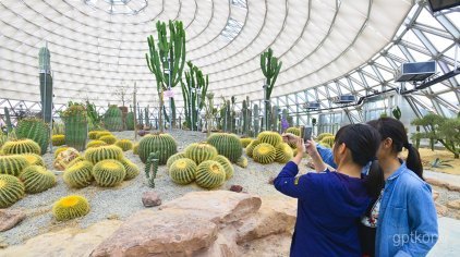 大阳山植物园景区展示图片4