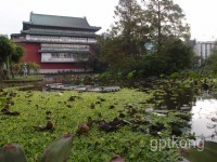 台北植物园展示图片1