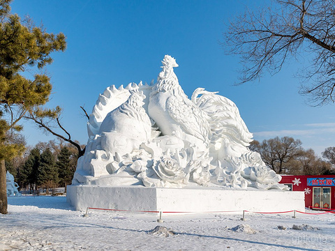 太阳岛风景区展示图片1