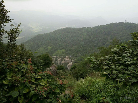 台州南山生态园展示图片0