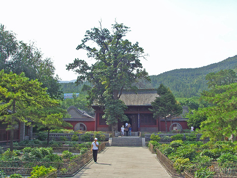 唐叔虞祠展示图片0