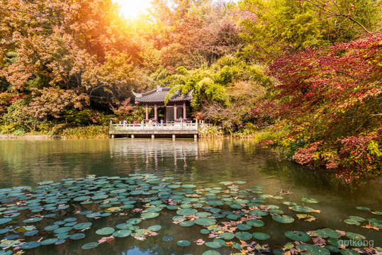 桃花涧展示图片1