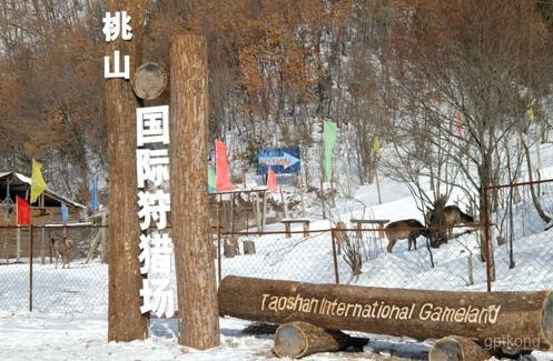 桃山国际狩猎场展示图片4