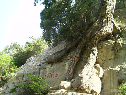 天龙山景区展示图片0