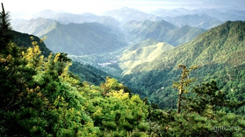 天目山景区展示图片3